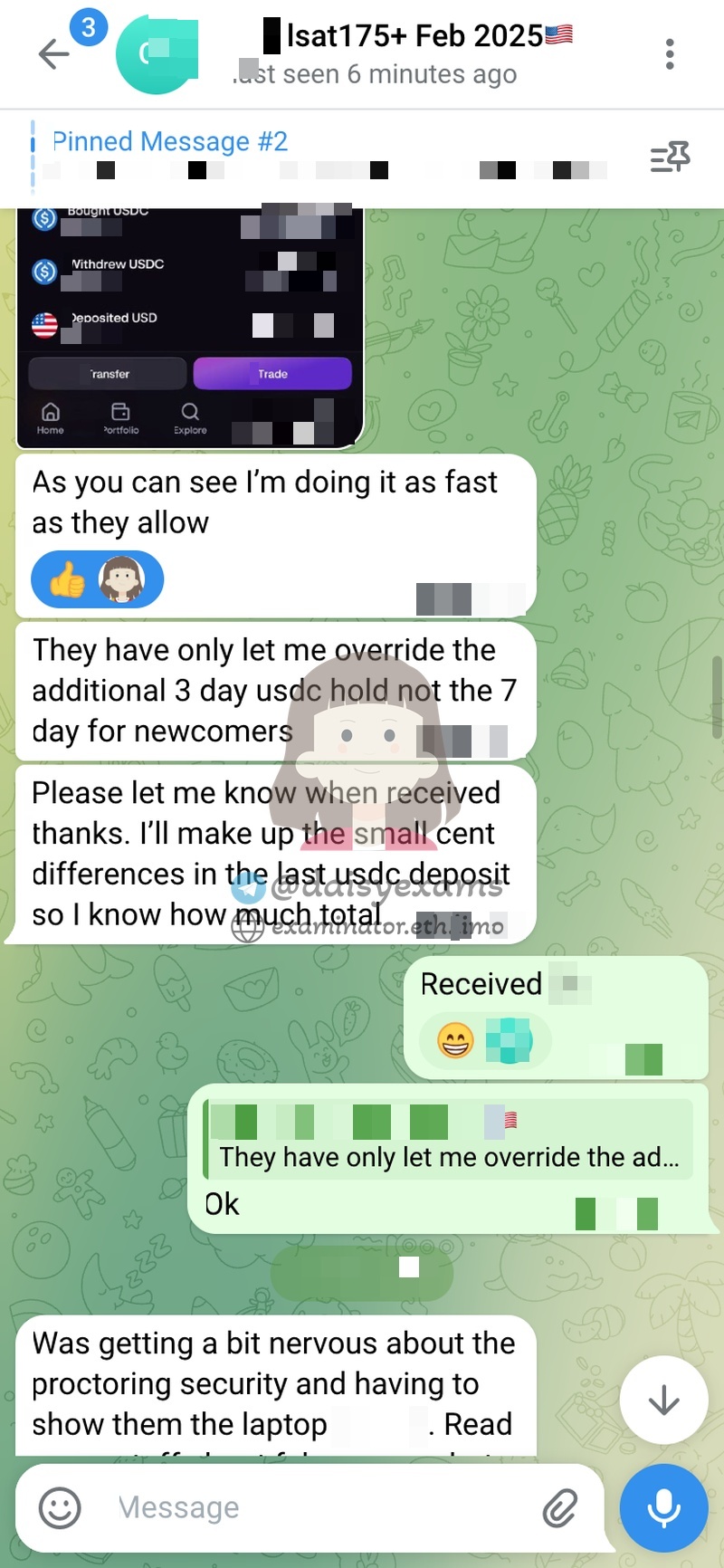 screenshot of chat logs for LSAT Cheating success story #733