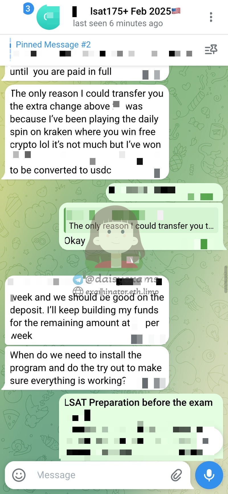 screenshot of chat logs for LSAT Cheating success story #733