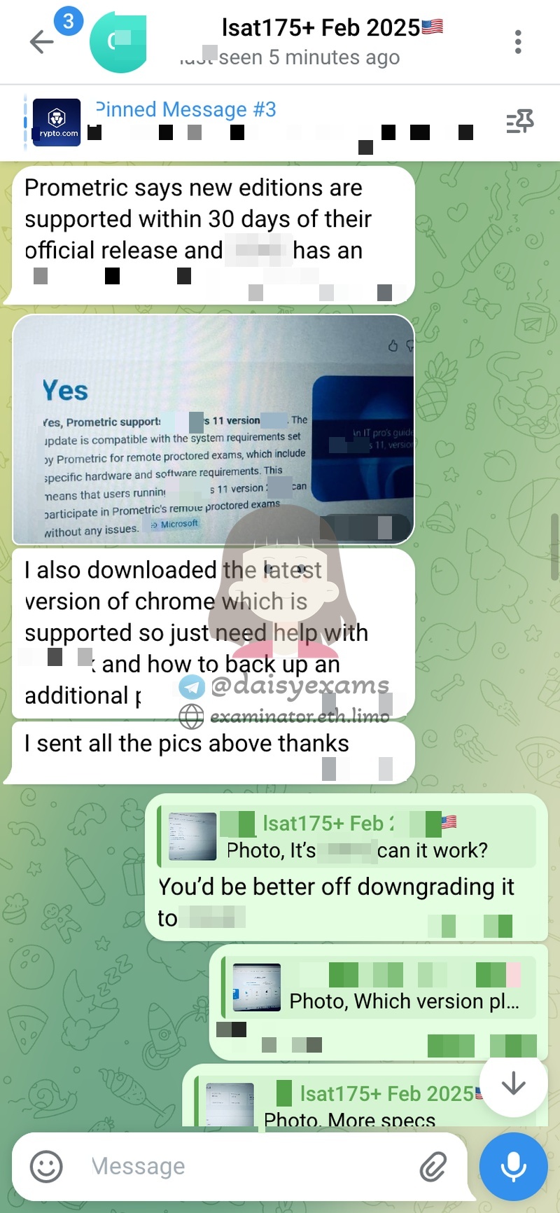 screenshot of chat logs for LSAT Cheating success story #733
