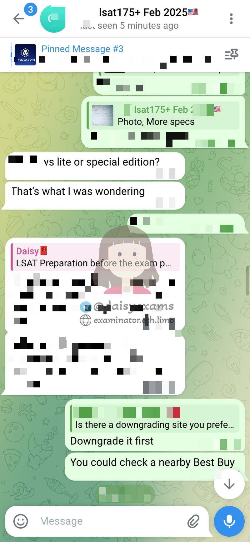 screenshot of chat logs for LSAT Cheating success story #733