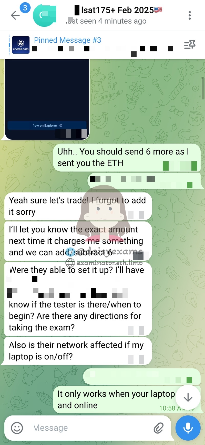 screenshot of chat logs for LSAT Cheating success story #733