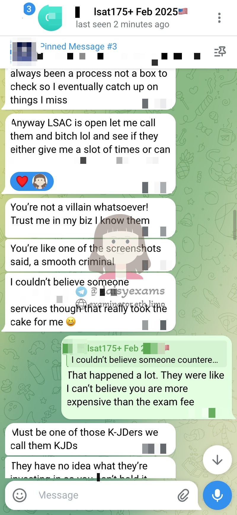 screenshot of chat logs for LSAT Cheating success story #733