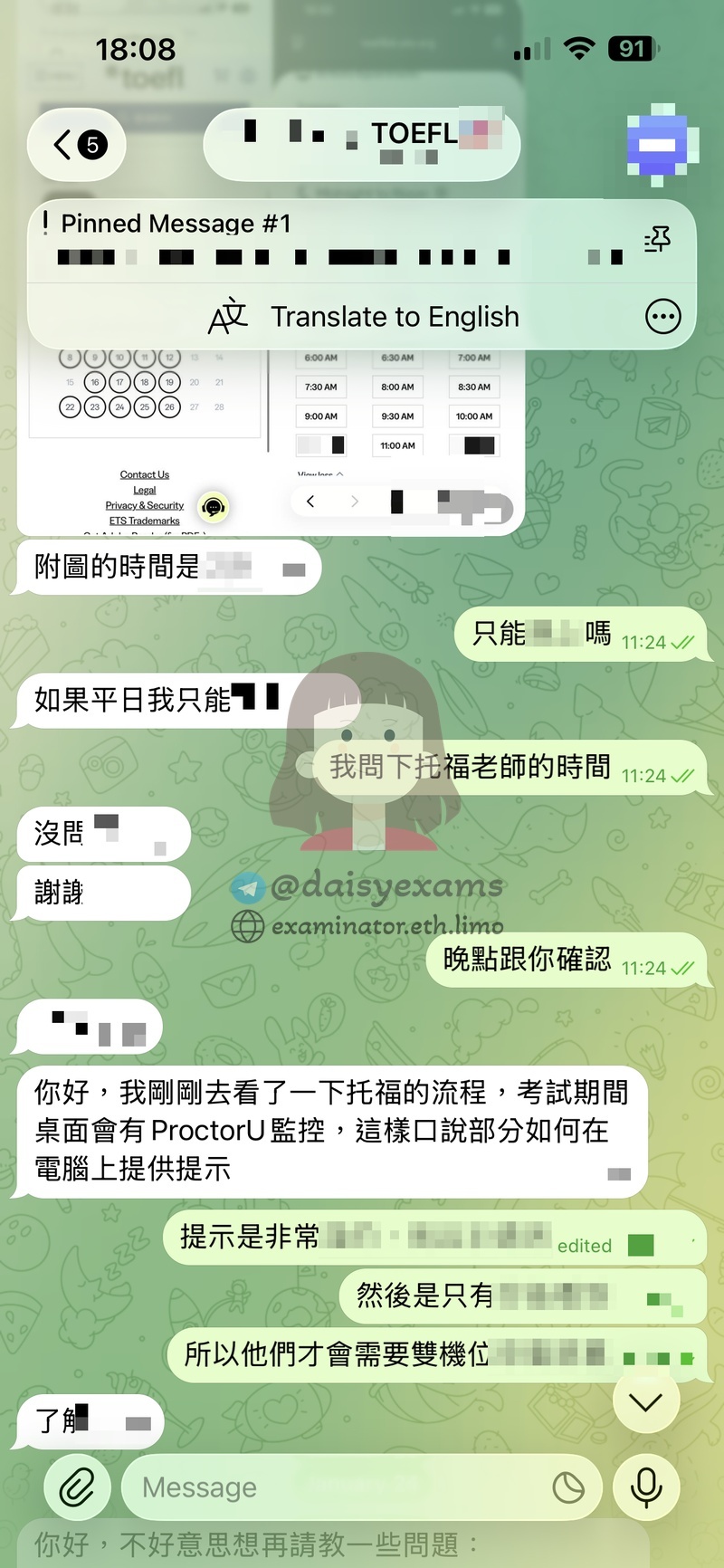 screenshot of chat logs for TOEFL 부정행위 success story #736