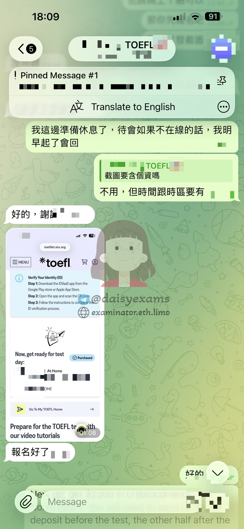 screenshot of chat logs for TOEFL 부정행위 success story #736