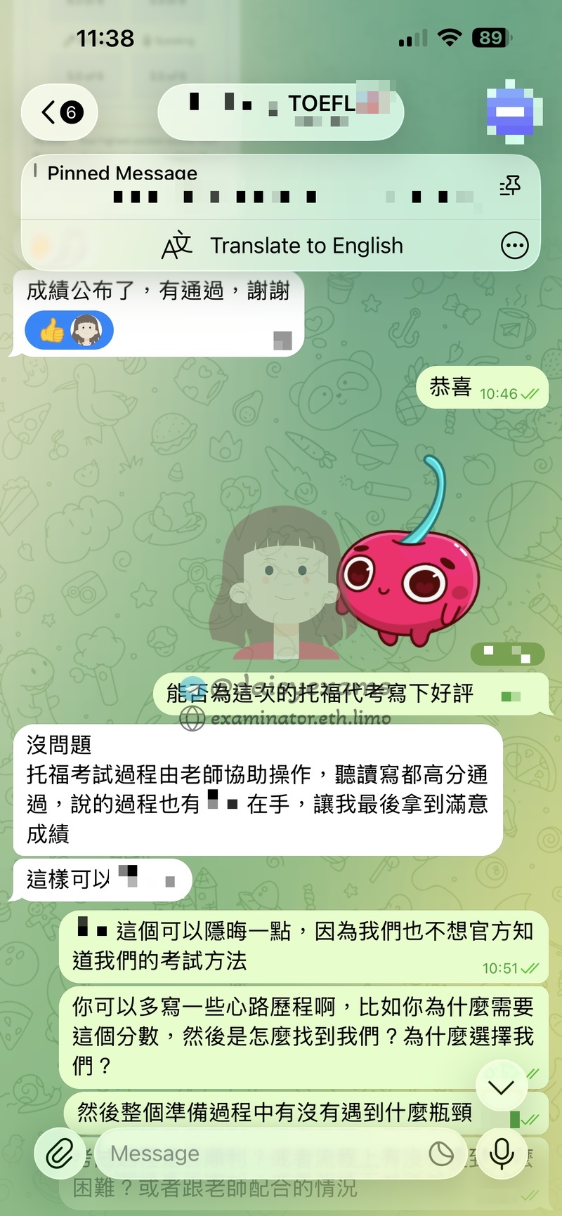 screenshot of chat logs for TOEFL 부정행위 success story #736