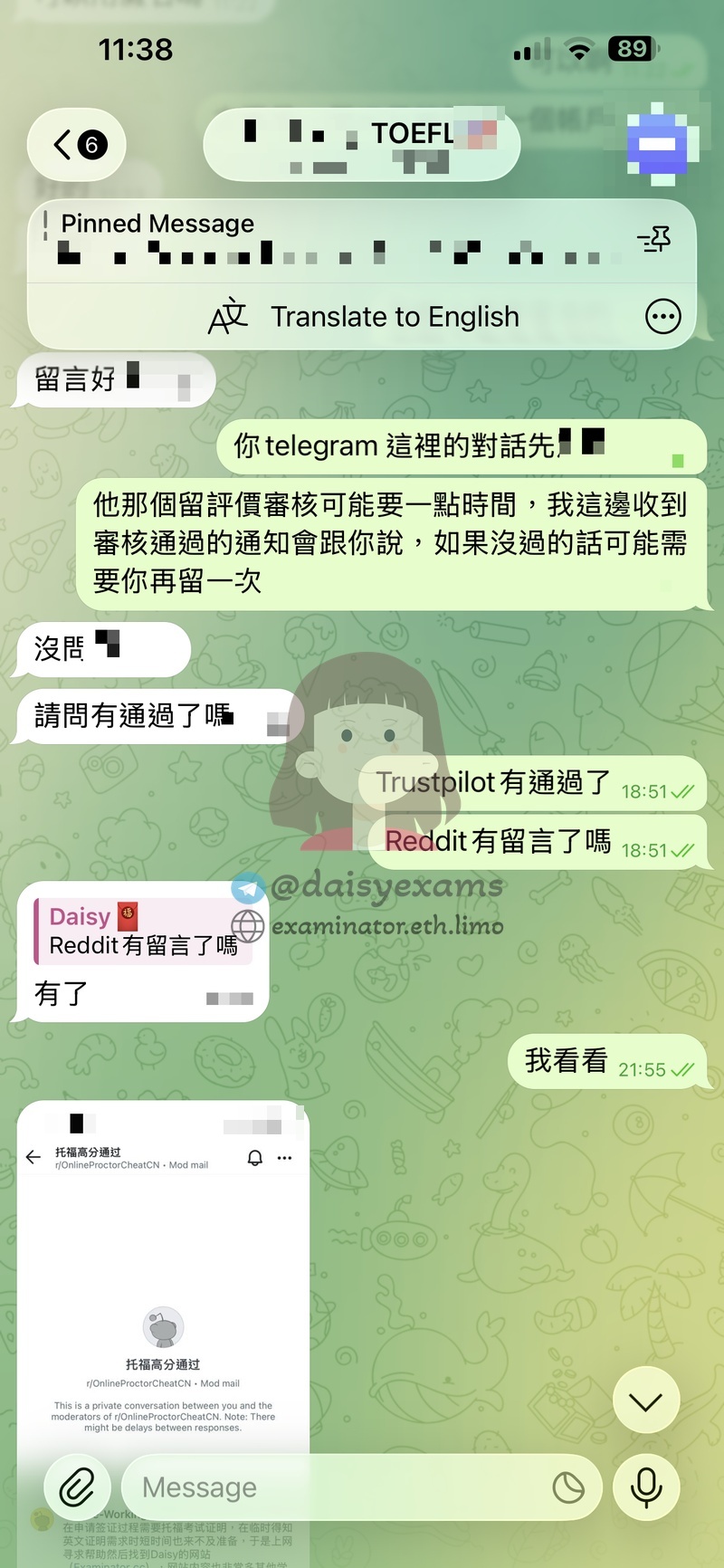 screenshot of chat logs for TOEFL 부정행위 success story #736