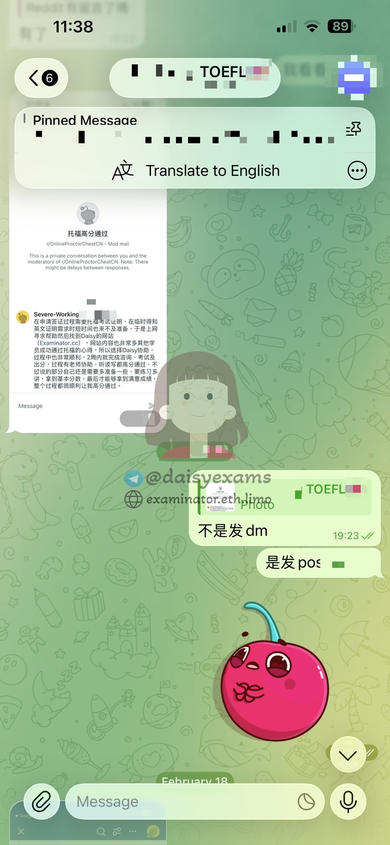 screenshot of chat logs for TOEFL 부정행위 success story #736