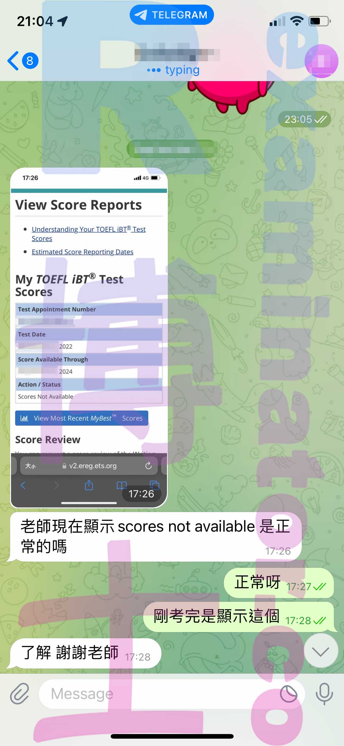 screenshot of chat logs for TOEFLでの不正行為 success story #395