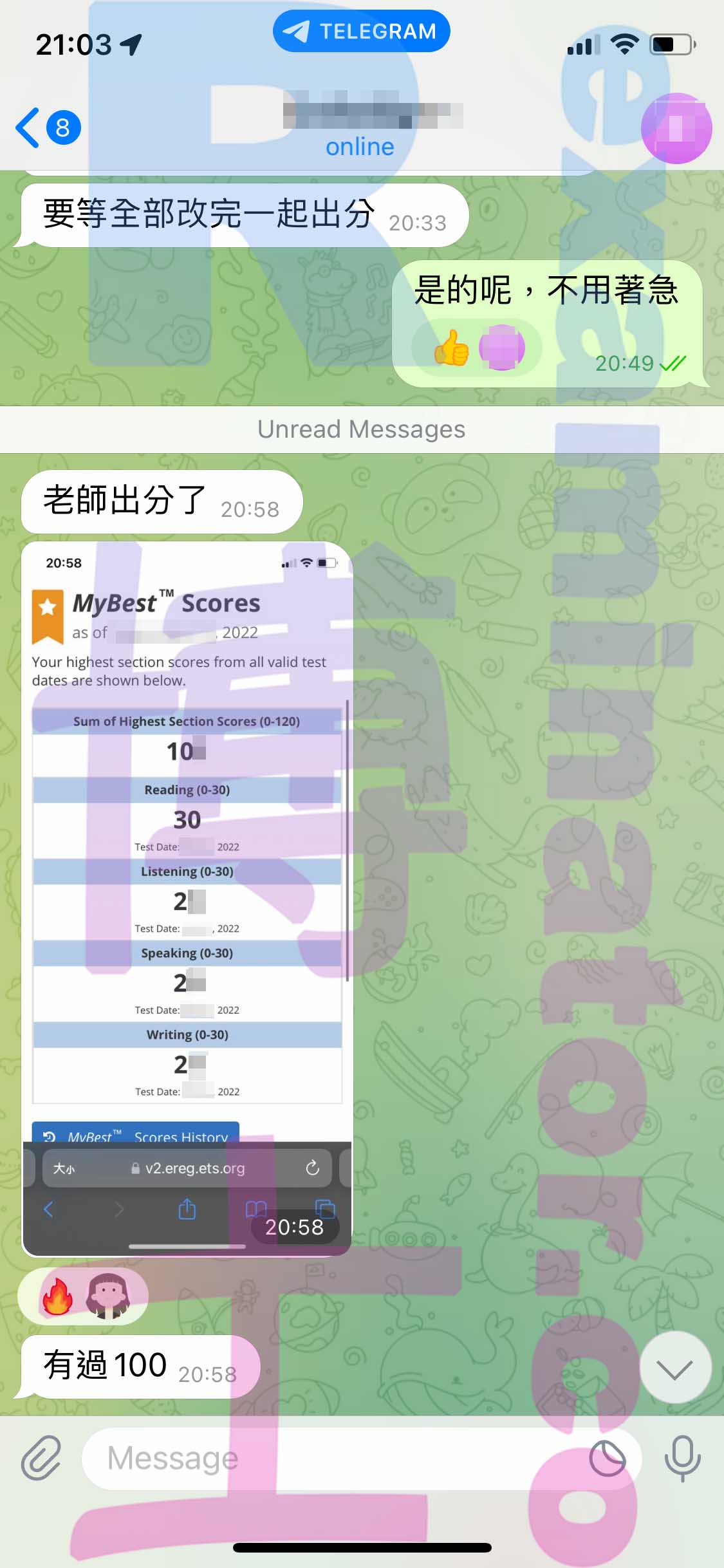 screenshot of chat logs for TOEFLでの不正行為 success story #395