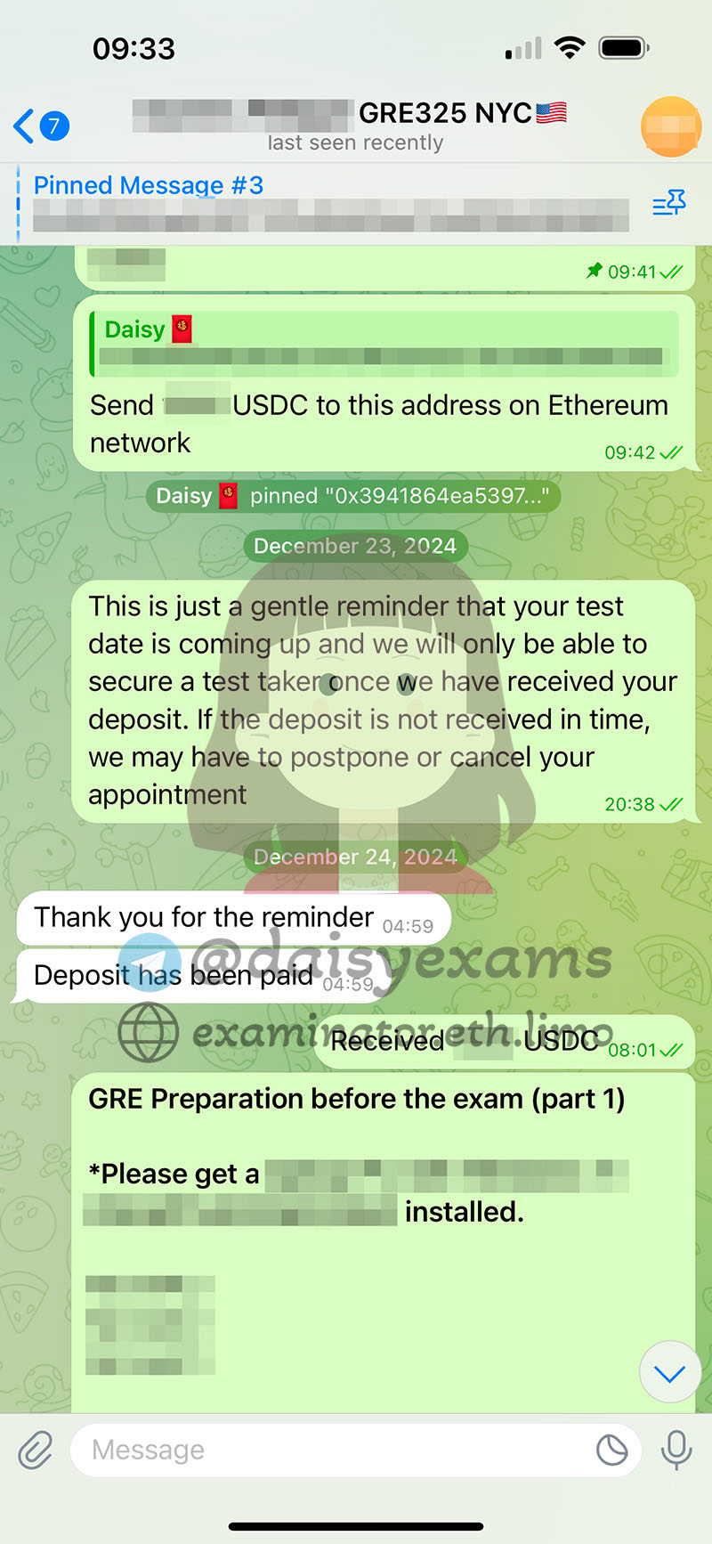 screenshot of chat logs for GRE Cheating success story #691