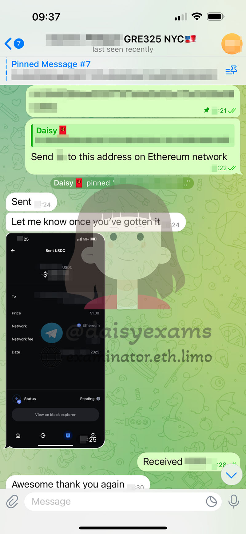 screenshot of chat logs for GRE Cheating success story #691
