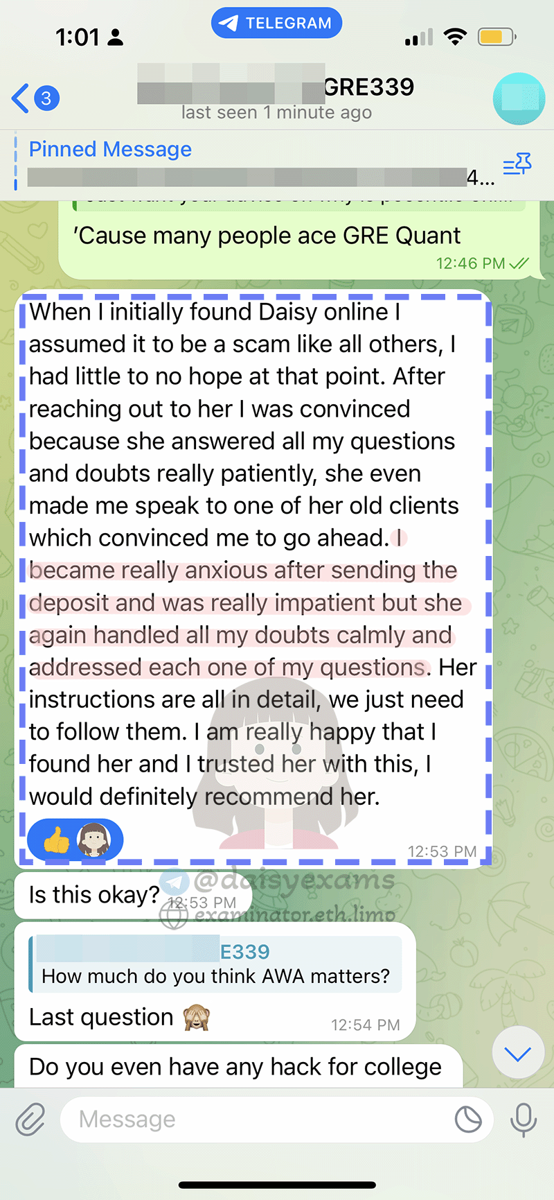 screenshot of chat logs for GRE 부정행위 success story #701