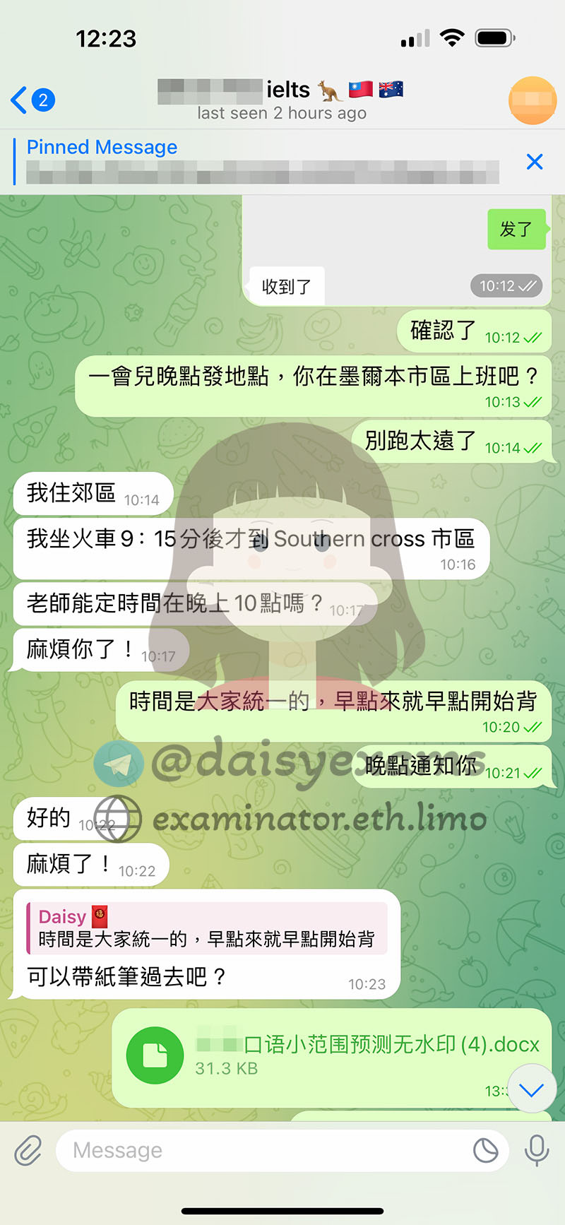 screenshot of chat logs for IELTS 부정행위 success story #688