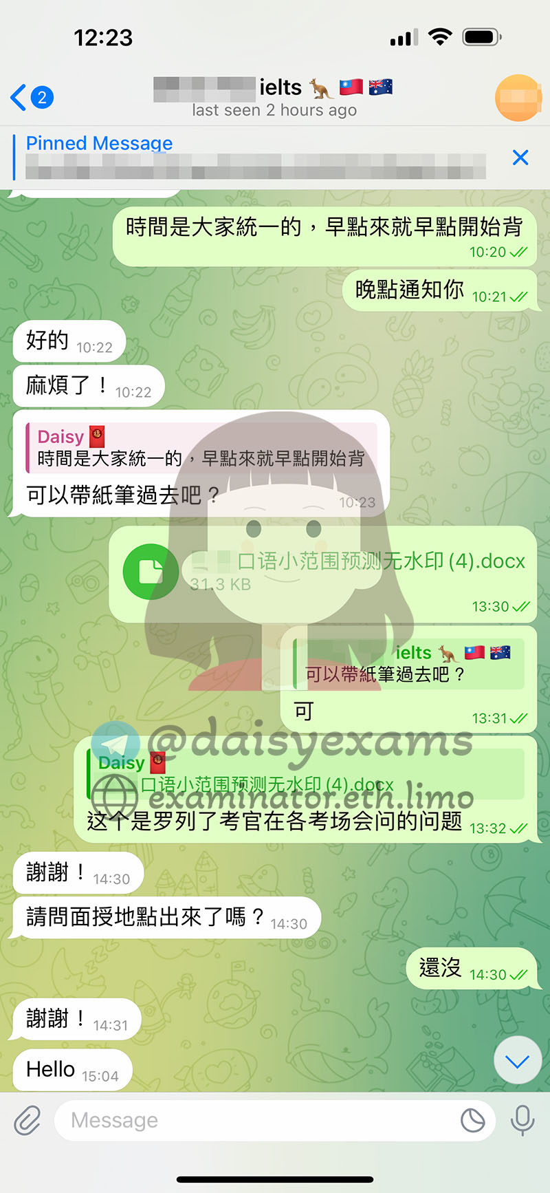 screenshot of chat logs for IELTS 부정행위 success story #688