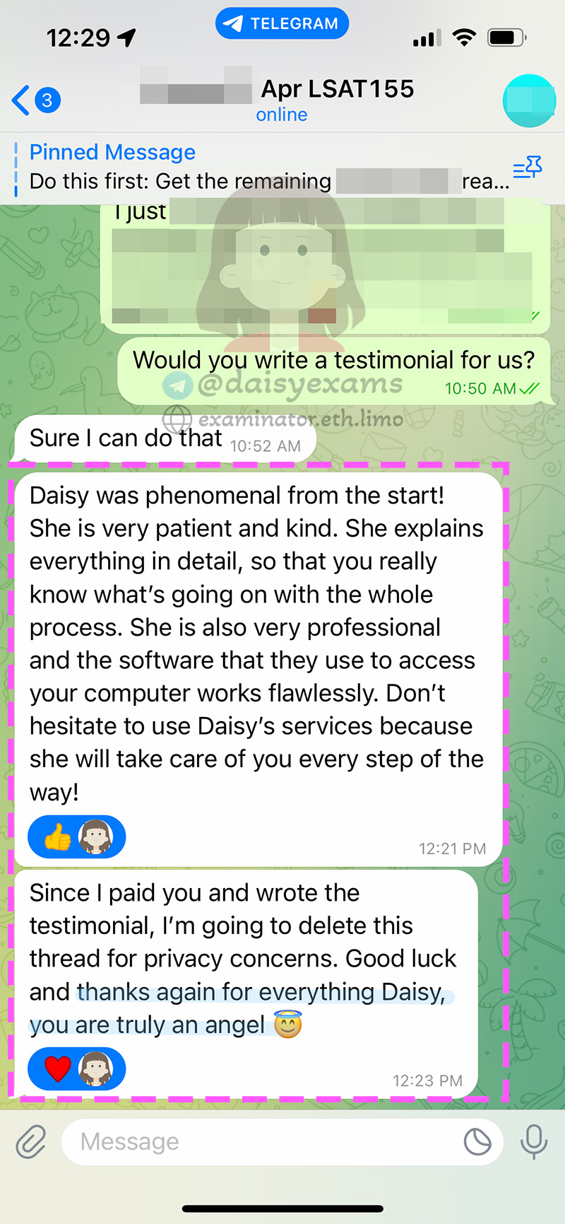 screenshot of chat logs for LSAT 부정행위 success story #696