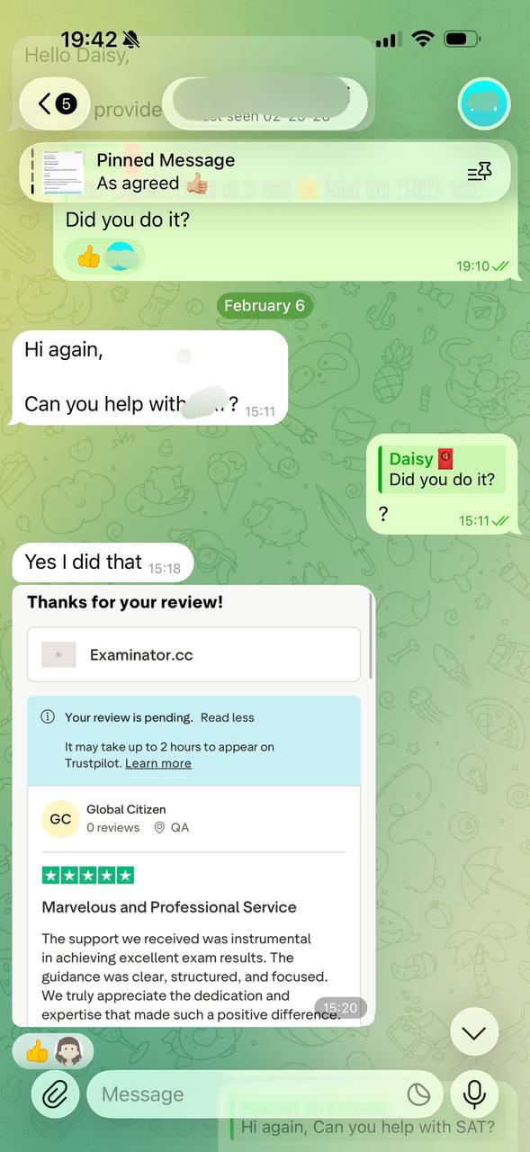 screenshot of chat logs for TOEFL 부정행위 success story #724