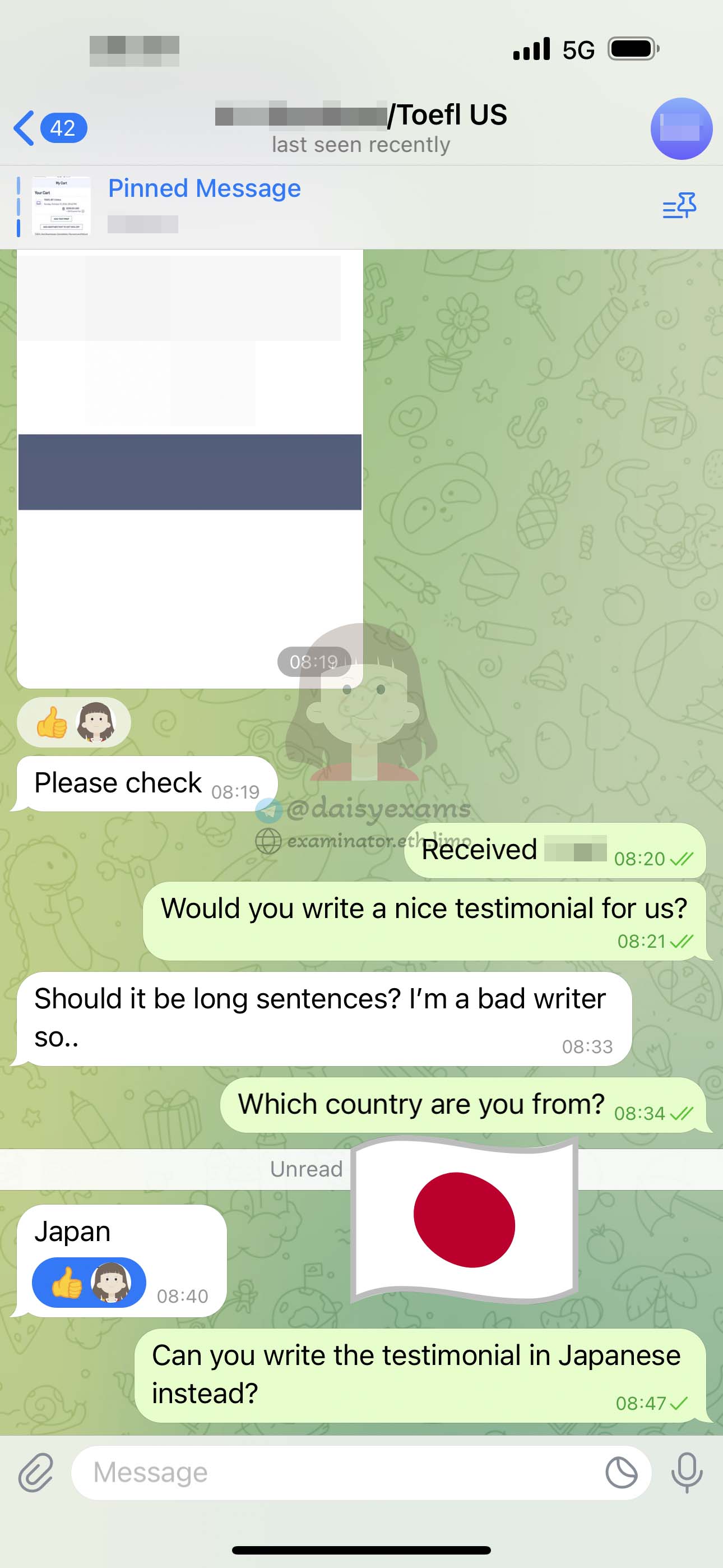 screenshot of chat logs for TOEFL Cheating success story #676