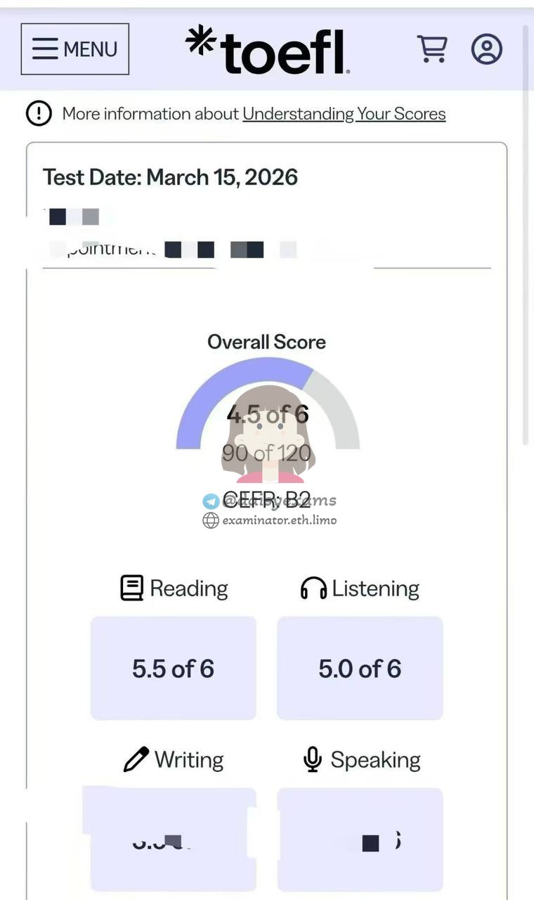 Screenshot der Chat-Protokolle für Betrug im TOEFL Erfolgsgeschichte #735