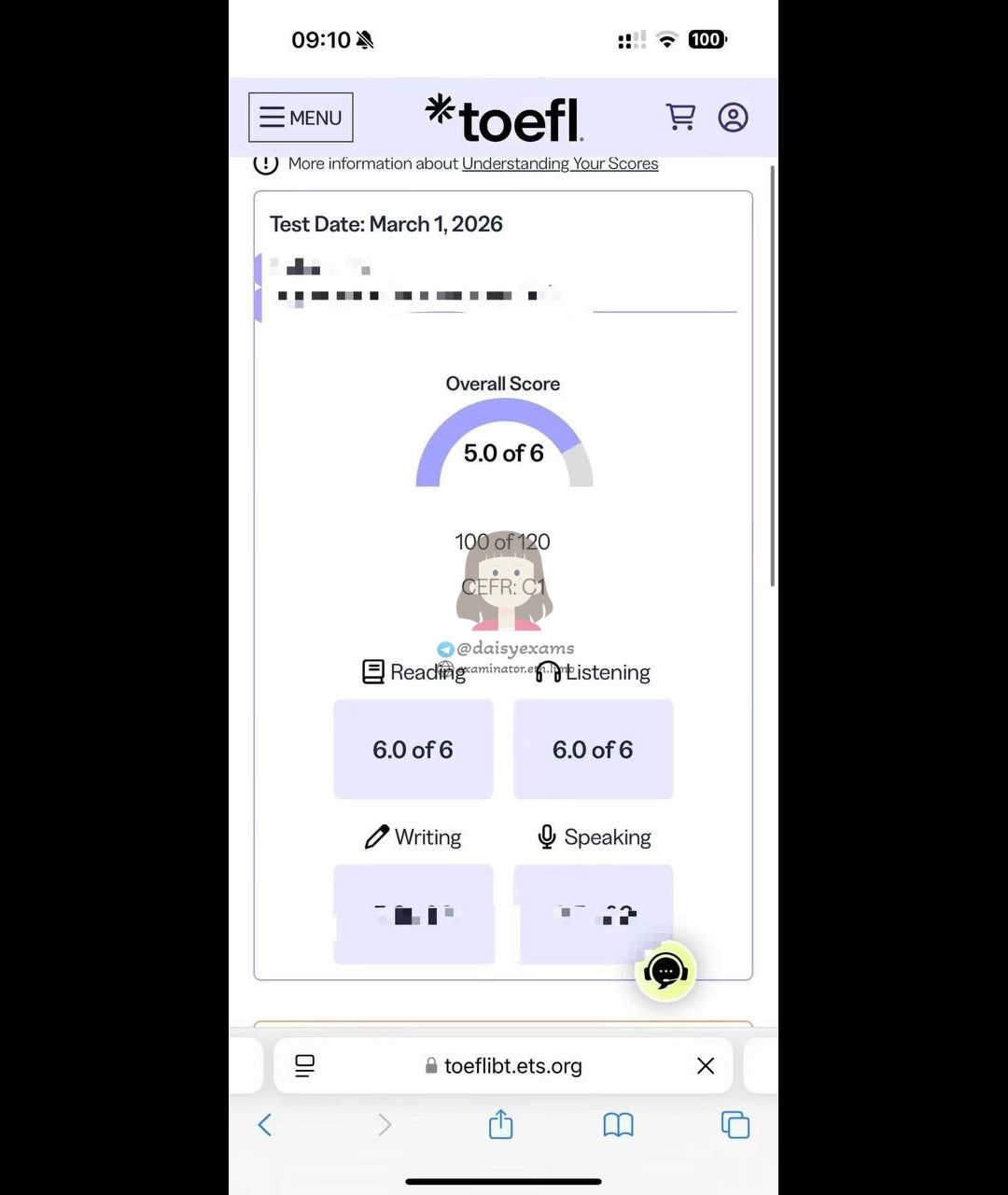 screenshot of chat logs for TOEFLでの不正行為 success story #726
