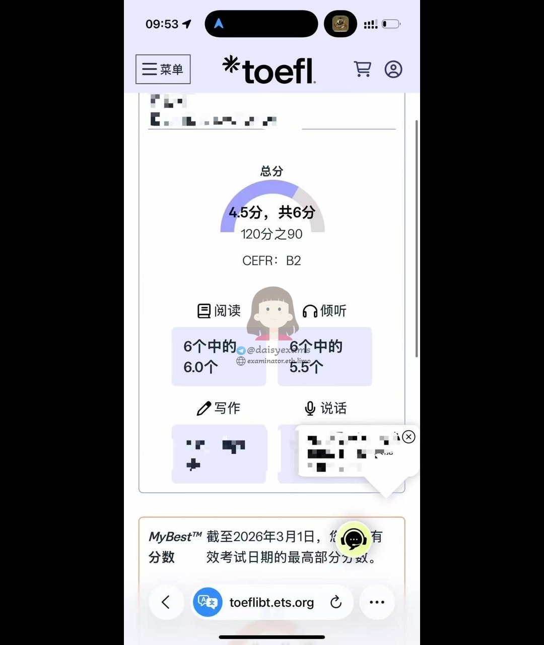 screenshot of chat logs for TOEFLでの不正行為 success story #726