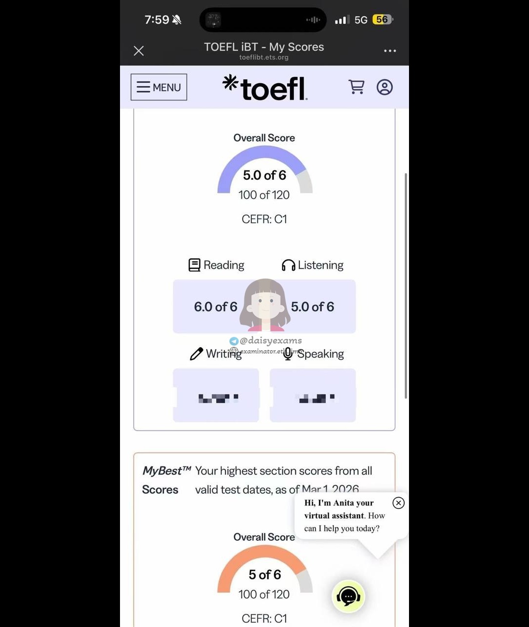 screenshot of chat logs for TOEFLでの不正行為 success story #726