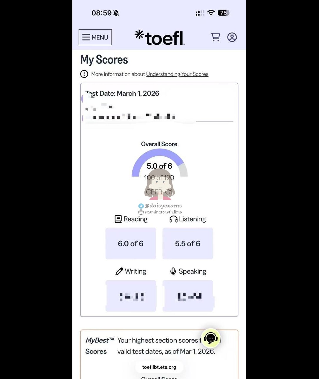 screenshot of chat logs for TOEFLでの不正行為 success story #726
