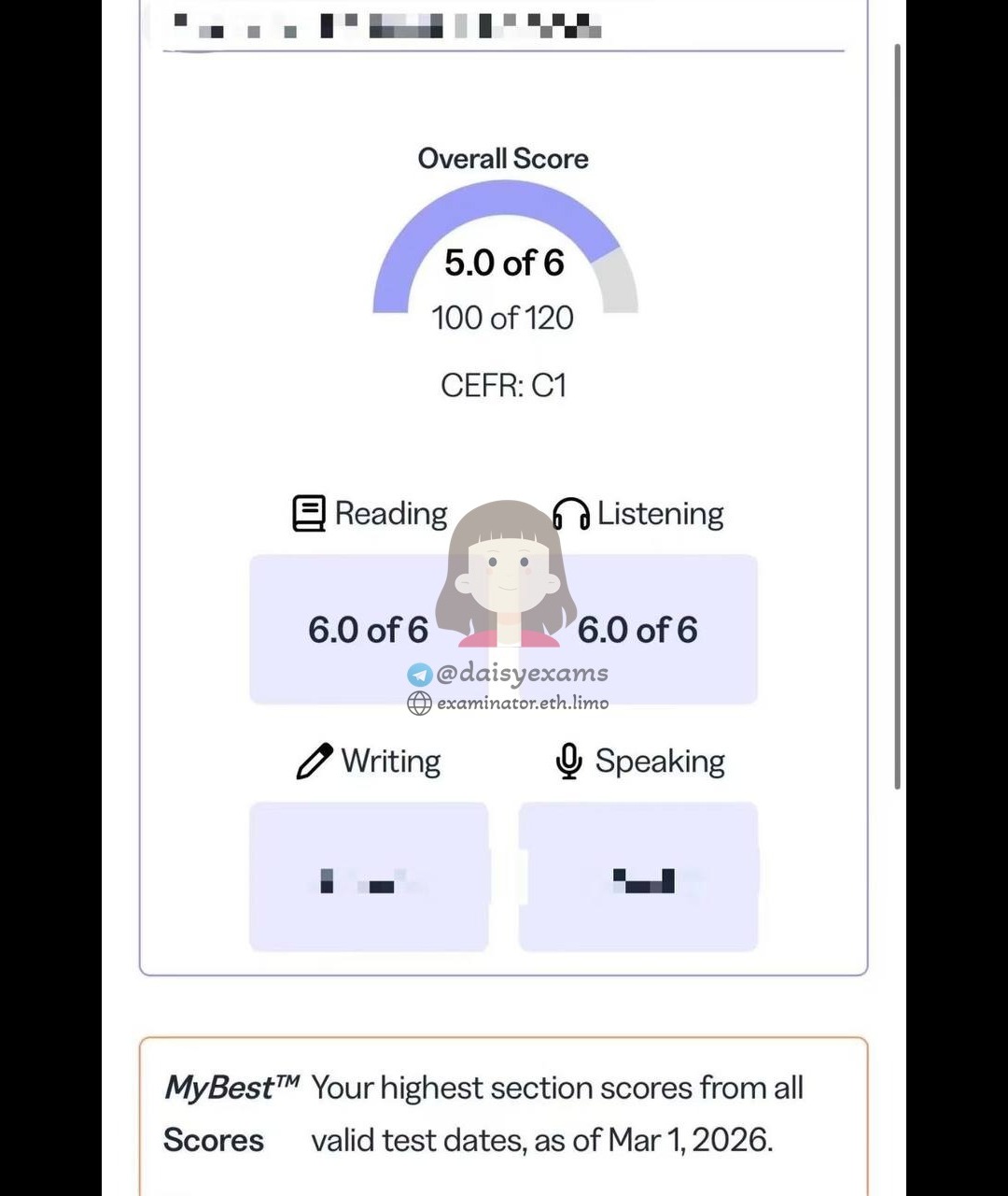 screenshot of chat logs for TOEFLでの不正行為 success story #726