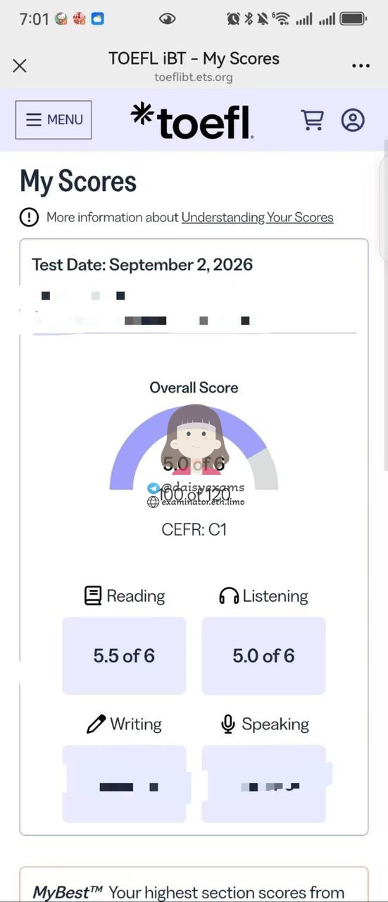 screenshot of chat logs for TOEFL Cheating success story #757