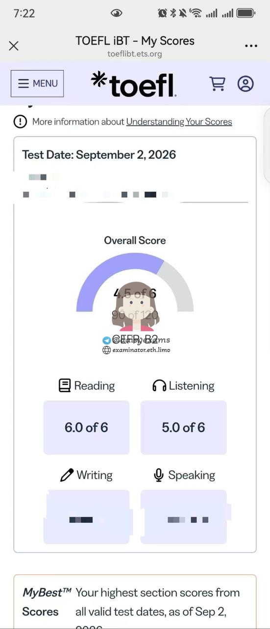screenshot of chat logs for TOEFL Cheating success story #757