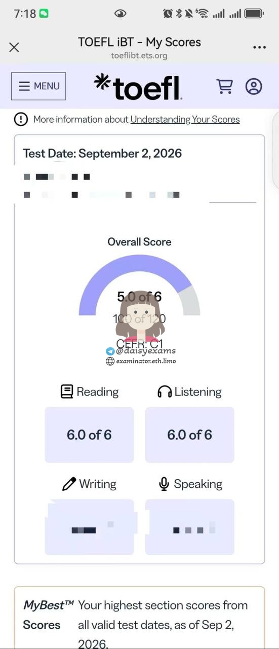 screenshot of chat logs for TOEFL Cheating success story #757
