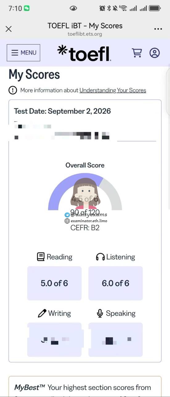 screenshot of chat logs for TOEFL Cheating success story #757