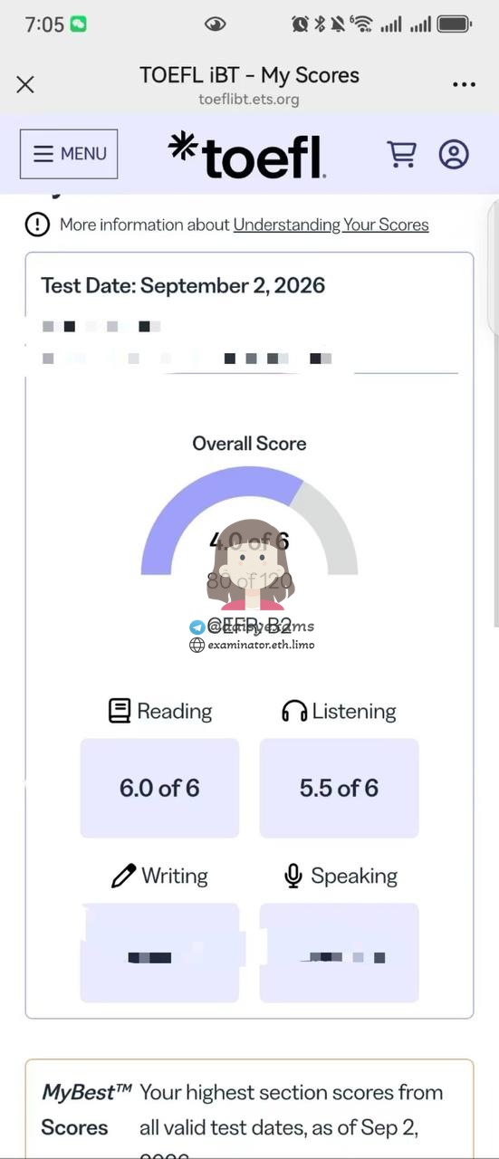 screenshot of chat logs for TOEFL Cheating success story #757
