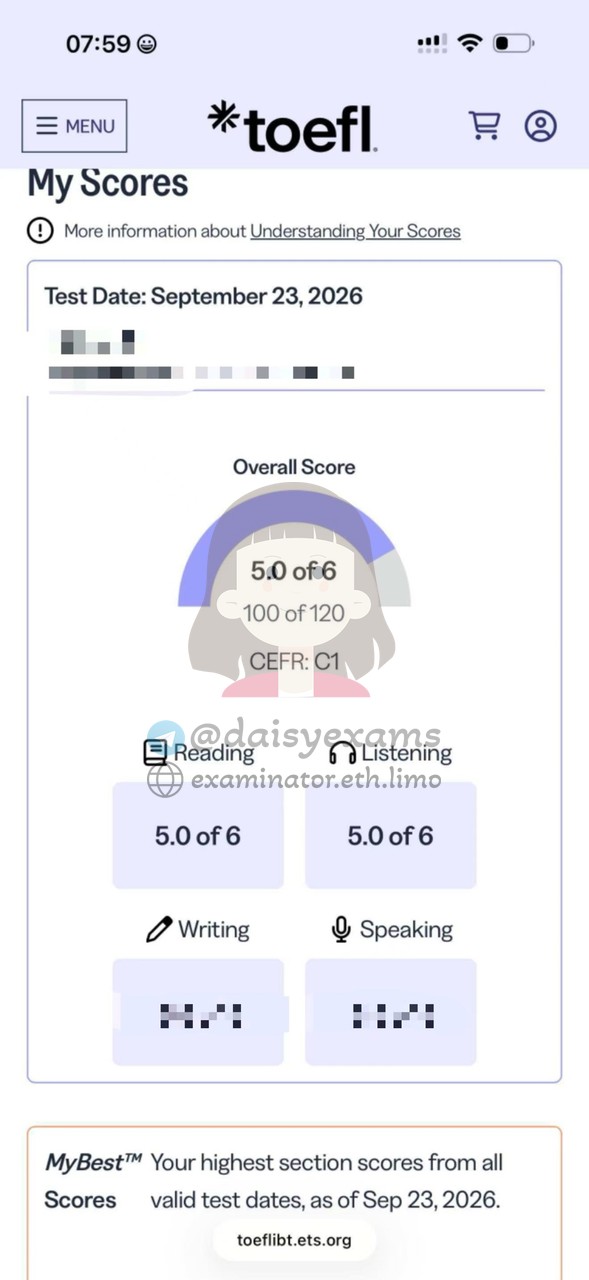 screenshot of chat logs for TOEFL Cheating success story #759