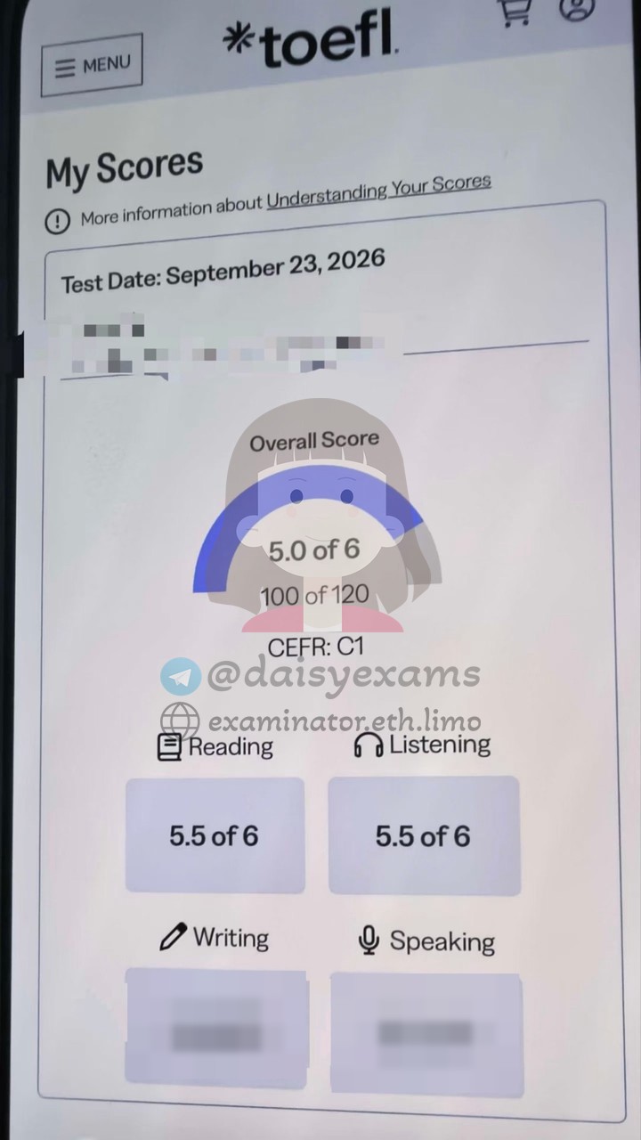 screenshot of chat logs for TOEFL Cheating success story #759