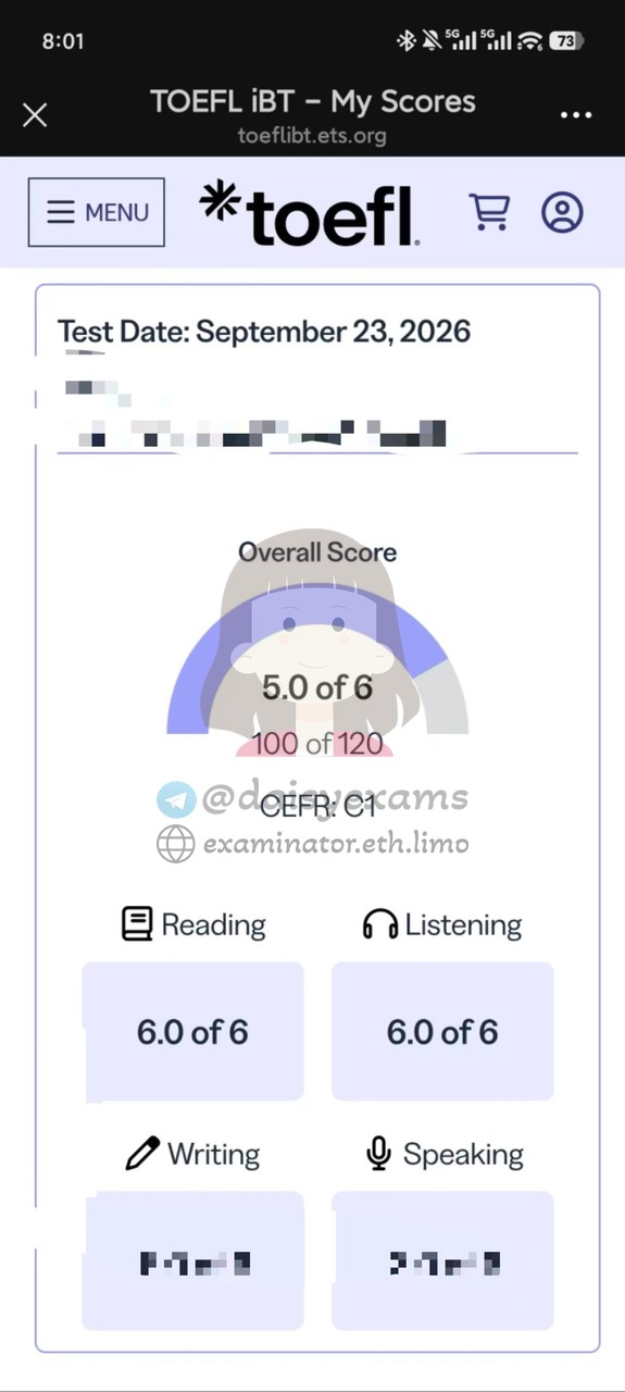 screenshot of chat logs for TOEFL Cheating success story #759