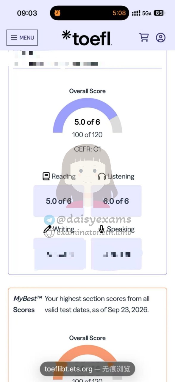 screenshot of chat logs for TOEFL Cheating success story #759