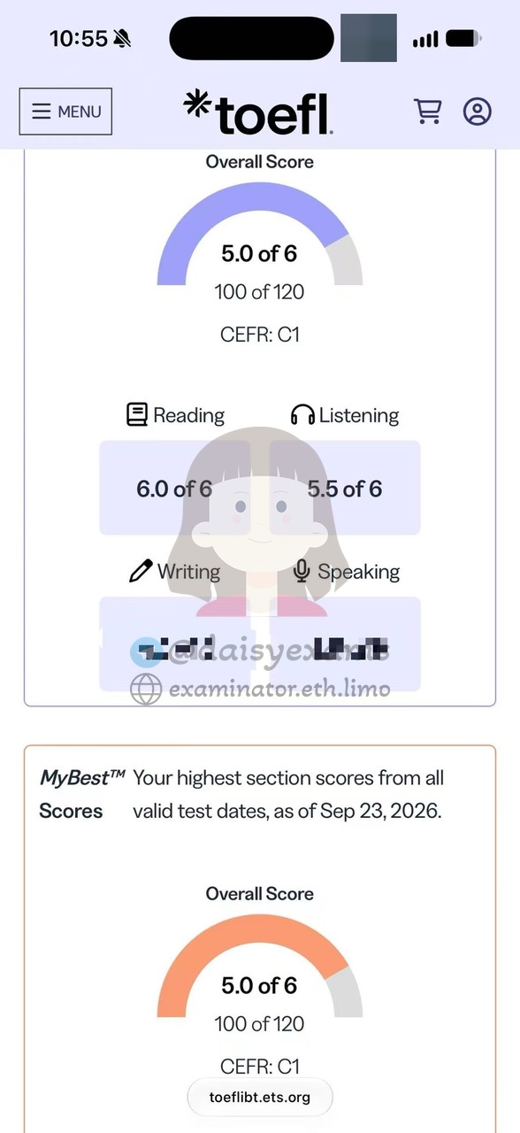 screenshot of chat logs for TOEFL Cheating success story #759