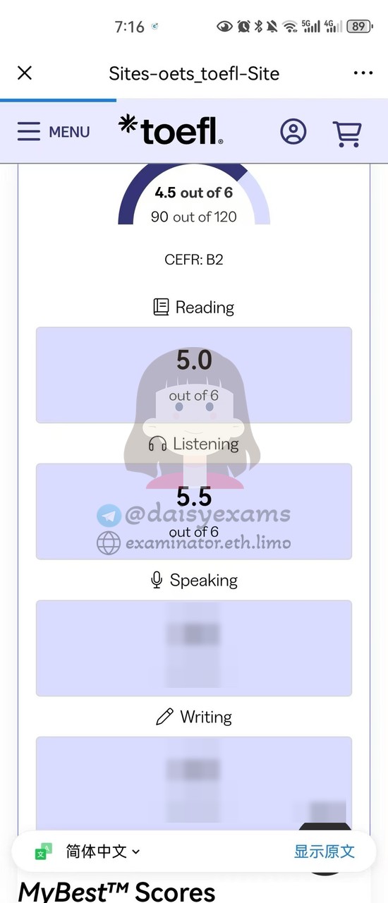 screenshot of chat logs for TOEFL Cheating success story #759