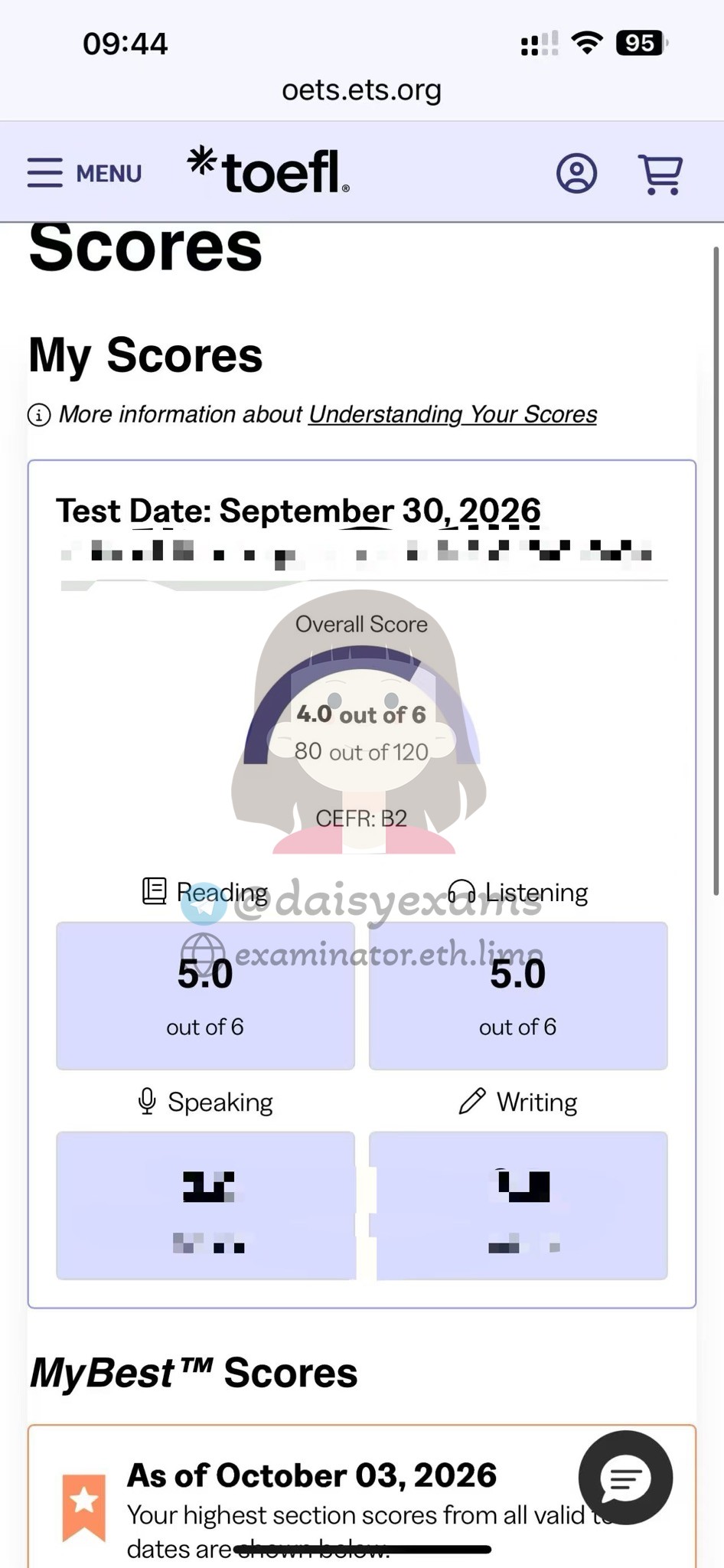 screenshot of chat logs for TOEFL Cheating success story #761